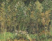 Vincent Van Gogh The Grove (nn04) china oil painting artist